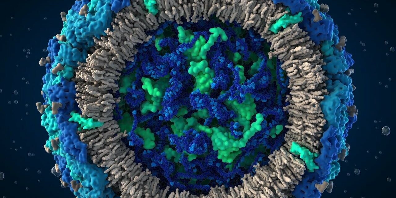 Zika and the Threat it Poses