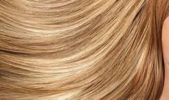 Hair Oils – Budget vs. Blow Out