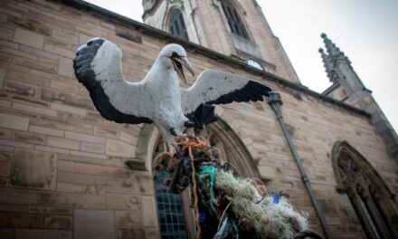 Liverpool Plinth is Looking for a Sculptor