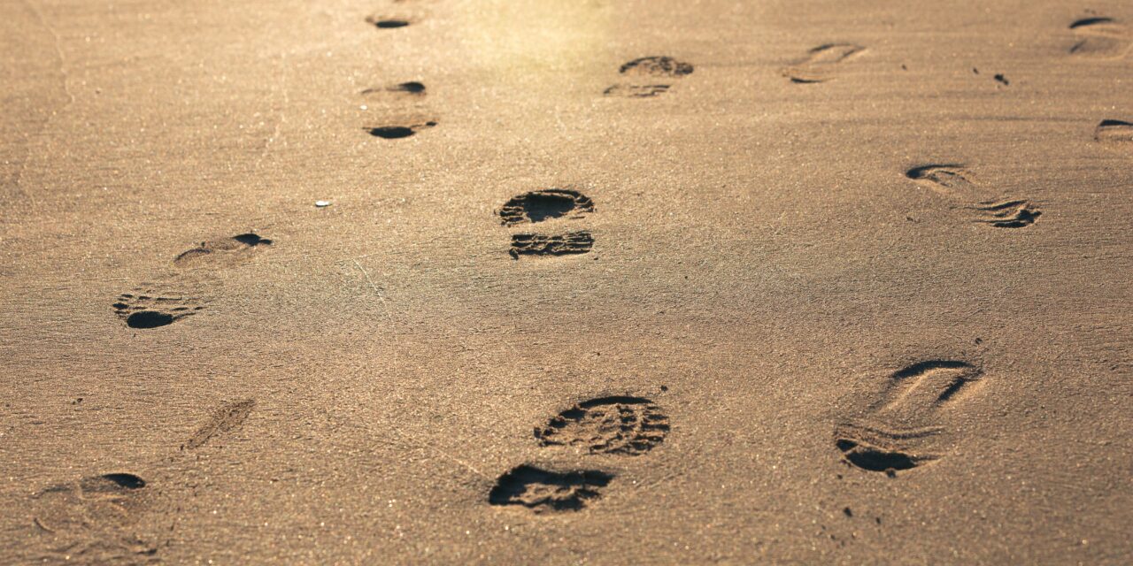 Unilever Partners with University of Liverpool to Reduce Carbon Footprint