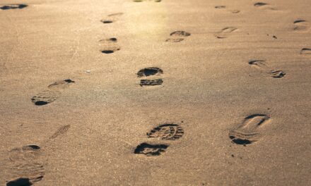 Unilever Partners with University of Liverpool to Reduce Carbon Footprint