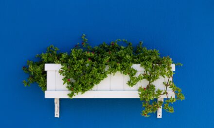 Affordable Changes To Transform The Exterior Of Your Home